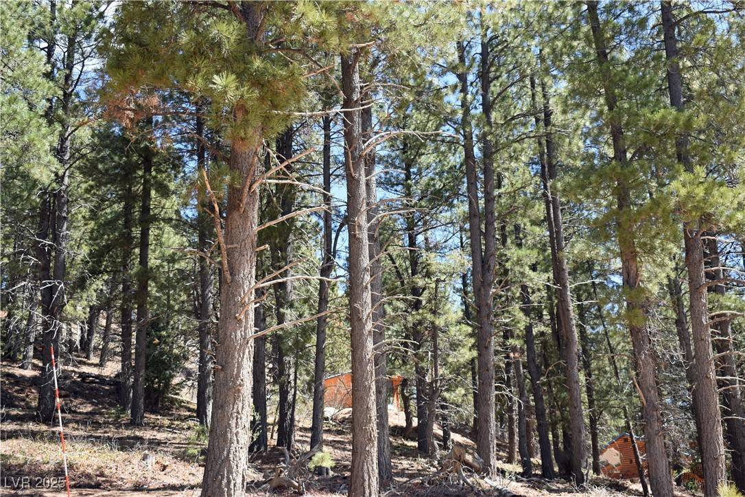 Duck Creek Village, UT 84762,2195 Sleepy Meadow LN