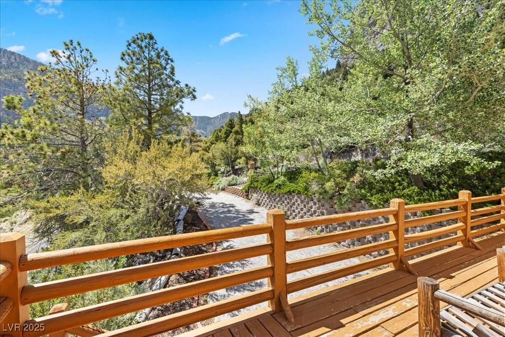 Mount Charleston, NV 89124,4947 Snow White RD