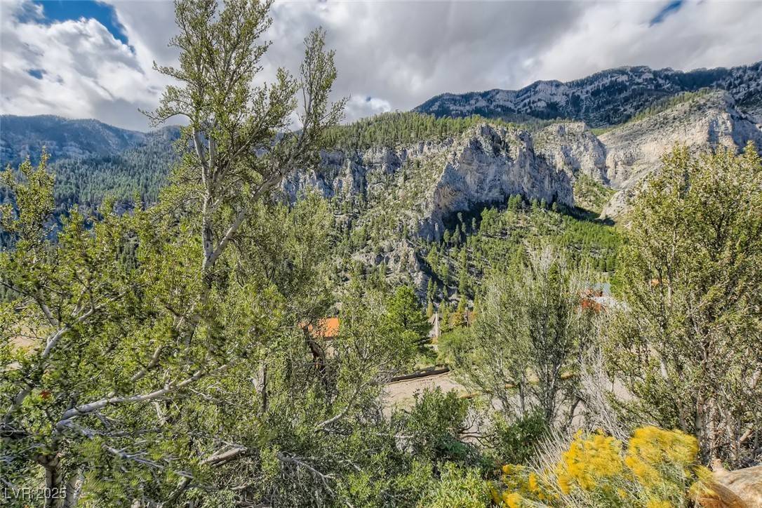 Mount Charleston, NV 89124,4947 Snow White RD