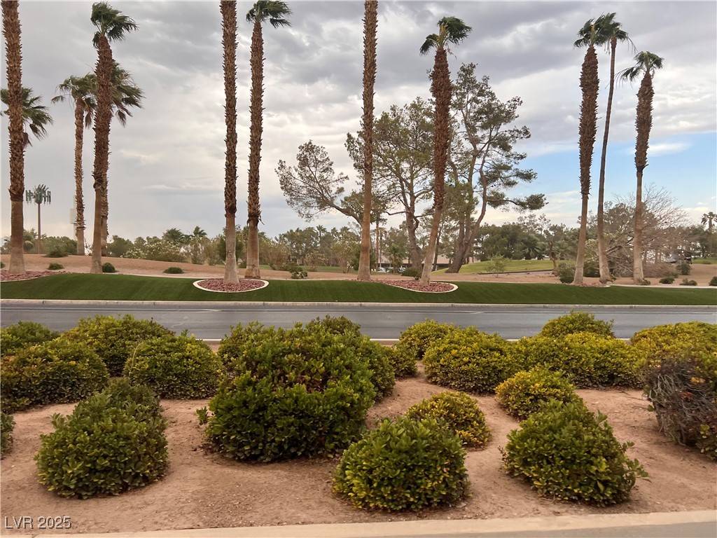 Las Vegas, NV 89148,316 Ladies Tee CT