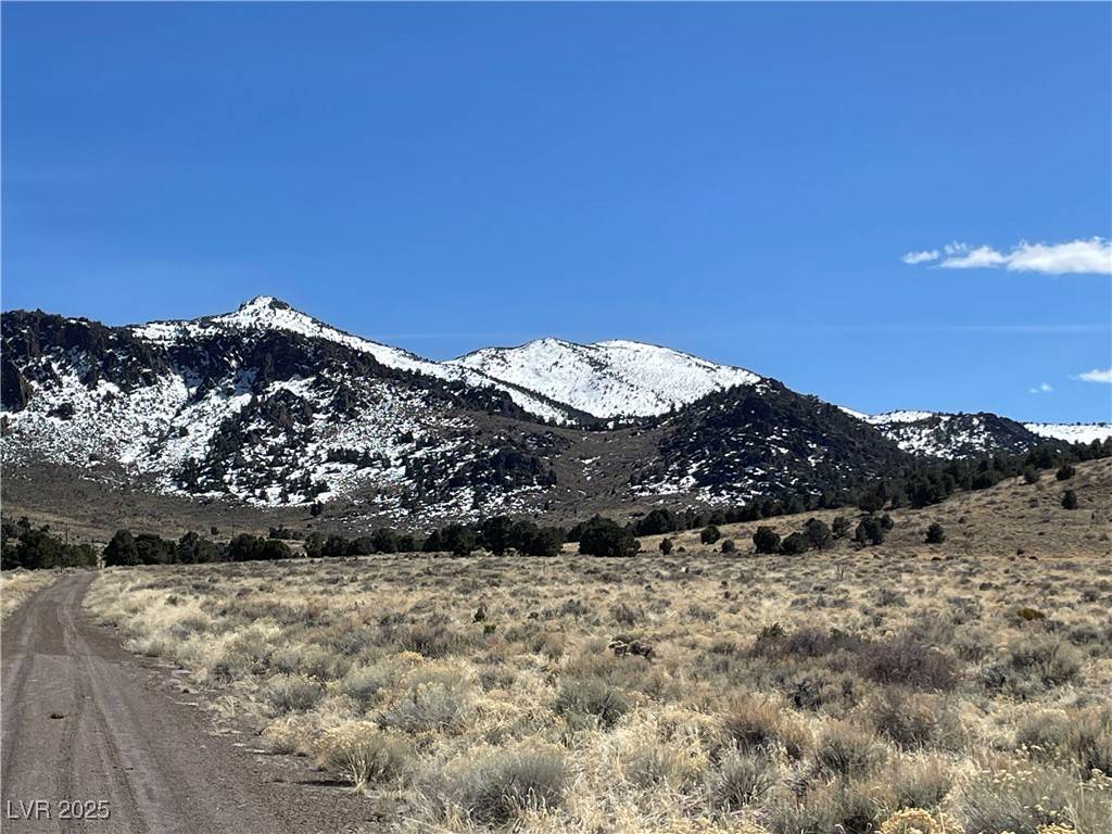 P-13 Butte Valley, Ely, NV 89301