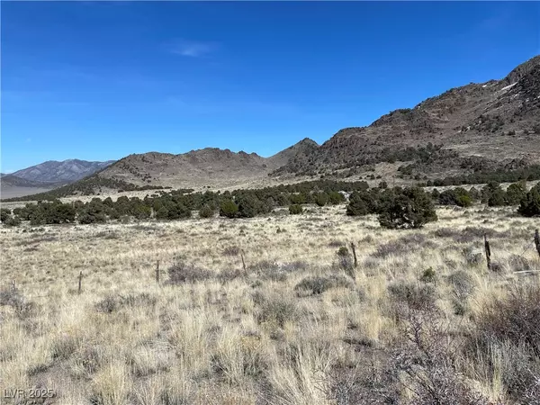 Ely, NV 89301,P-14 Butte Valley