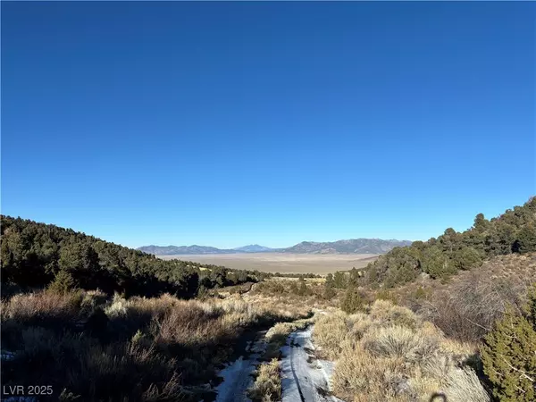 Ely, NV 89301,P-17 Butte Valley