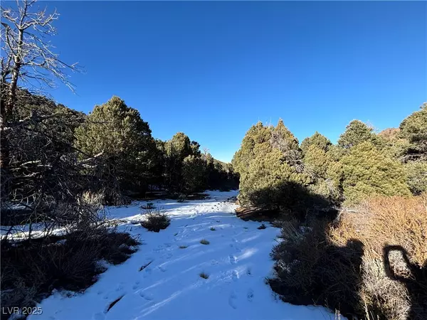 Ely, NV 89301,P-17 Butte Valley