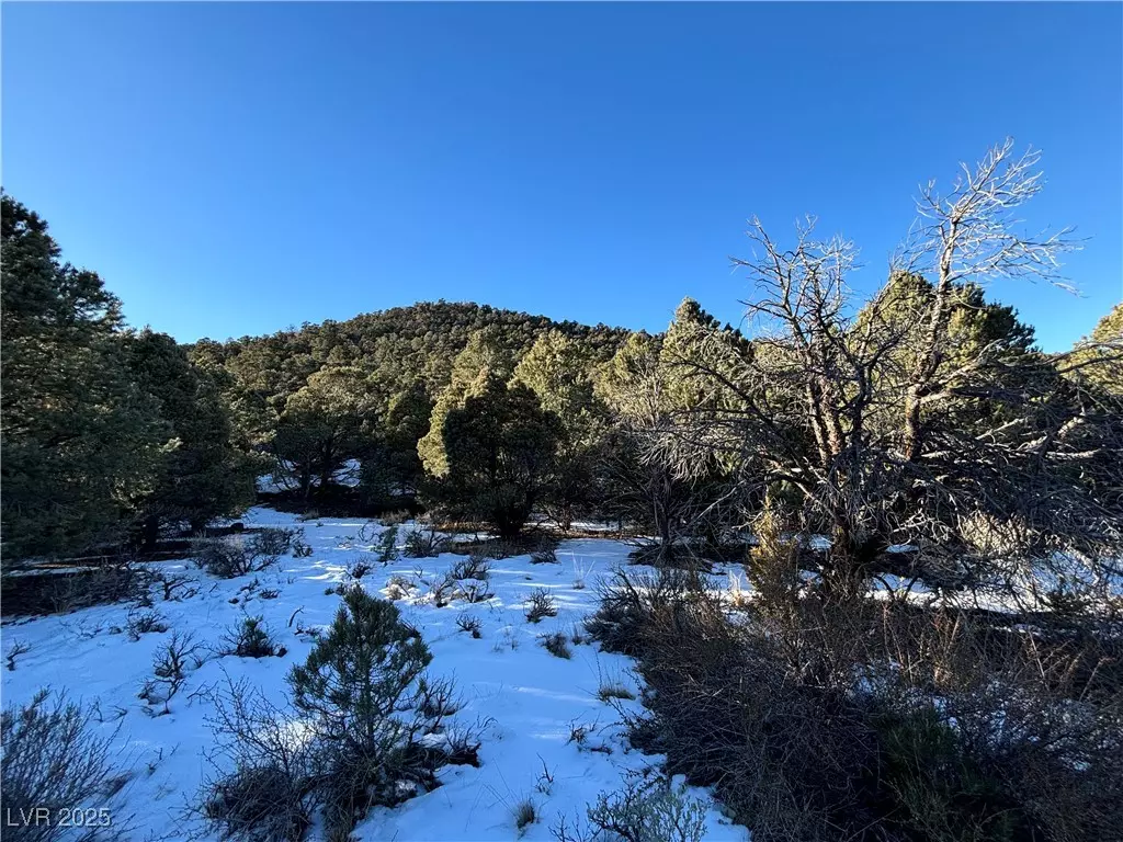Ely, NV 89301,P-18 Butte Valley