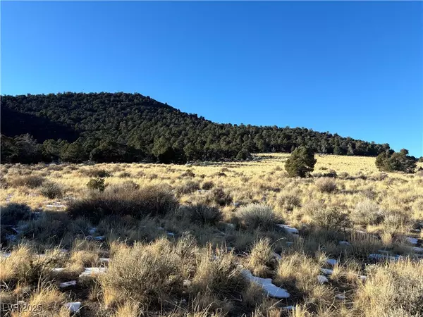 Ely, NV 89301,P-19 Butte Valley