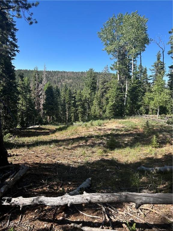 845 W Tamarisk CIR, Duck Creek Village, UT 84762