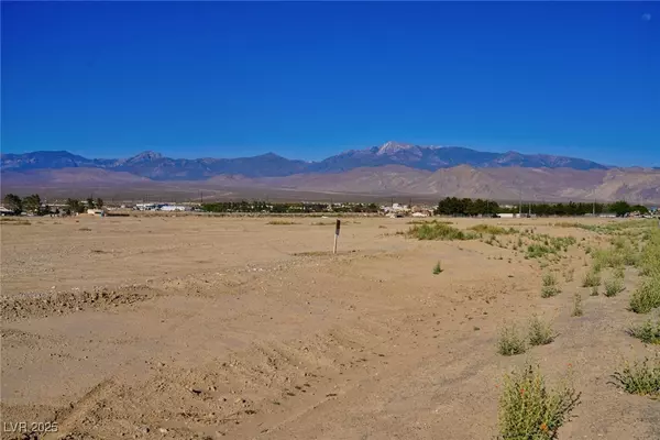 Pahrump, NV 89048,1110 E Honeysuckle ST