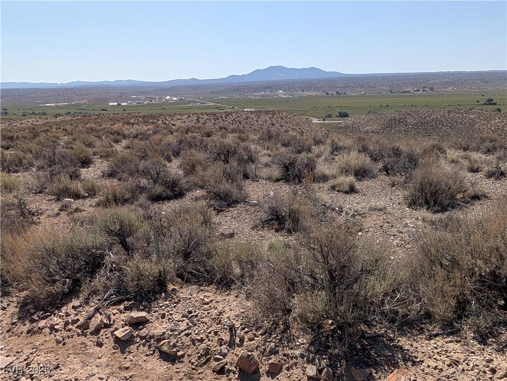 Caliente, NV 89008,Skyline