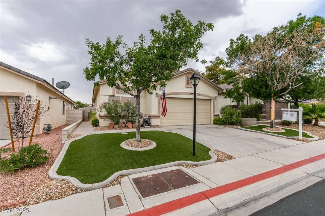 Las Vegas, NV 89143,8909 Medicine Wheel AVE