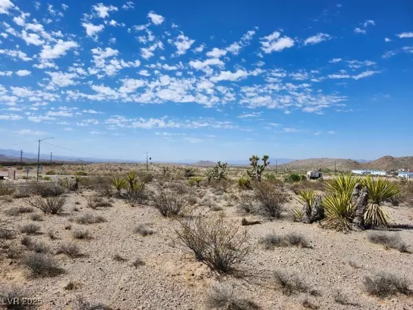 Searchlight, NV 89046,Cottonwood Cove RD