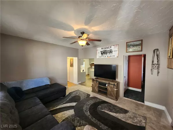 Mcgill, NV 89301,23 N Avenue B