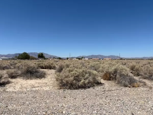 1180 S Old West AVE, Pahrump, NV 89048
