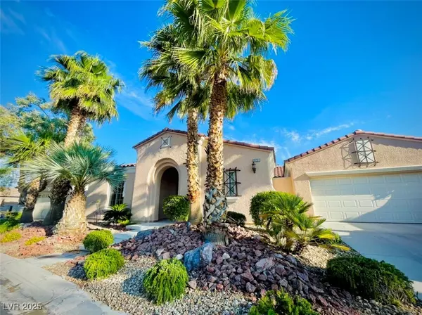 Las Vegas, NV 89135,10251 SOFFERTO AVE #0