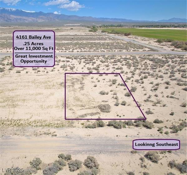 4161 S Bailey AVE, Pahrump, NV 89048