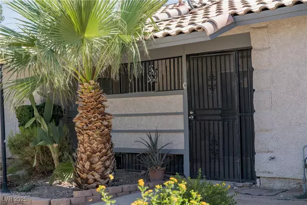 Las Vegas, NV 89110,217 N Lamb BLVD #C