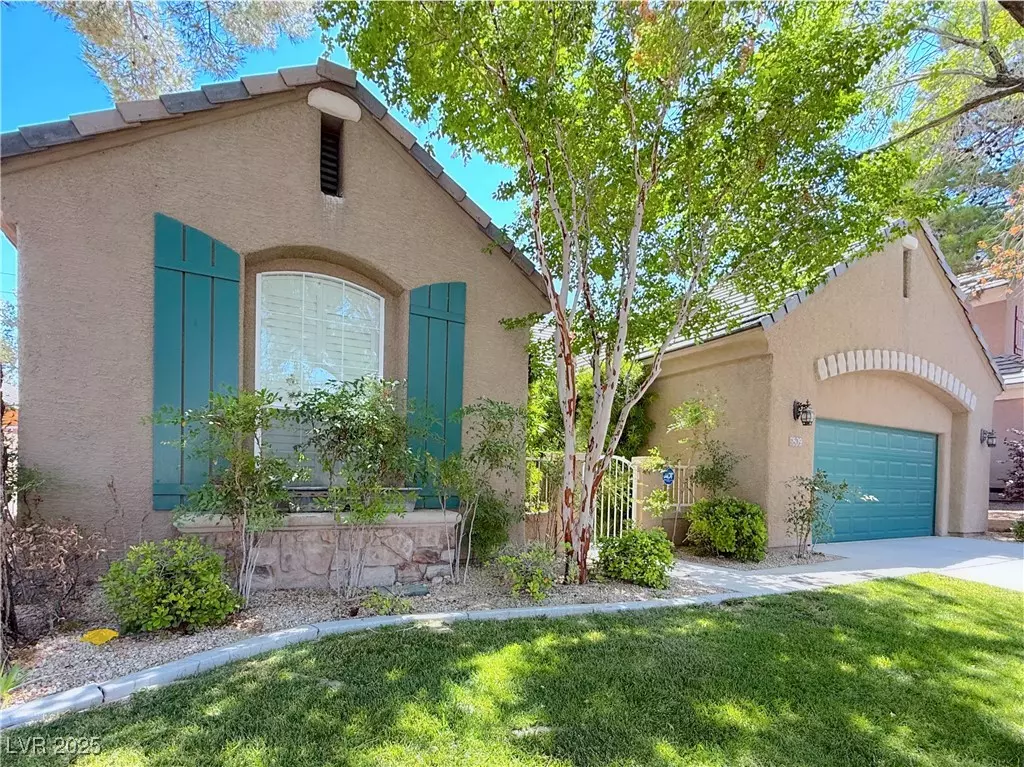 Las Vegas, NV 89145,9809 Miss Peach AVE