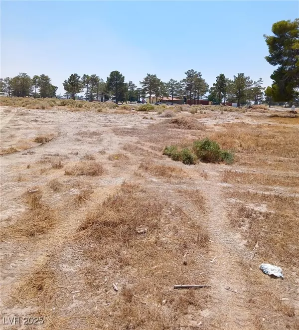 Pahrump, NV 89048,590 E San Lorenzo ST