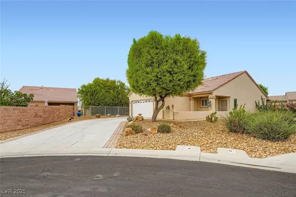 North Las Vegas, NV 89084,7817 Starthroat CT