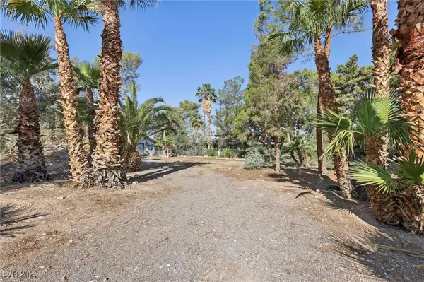 Las Vegas, NV 89183,55 E Siddall