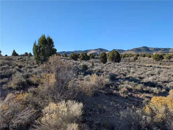 Pioche, NV 89043,Angela Ct (2.05 Ac)