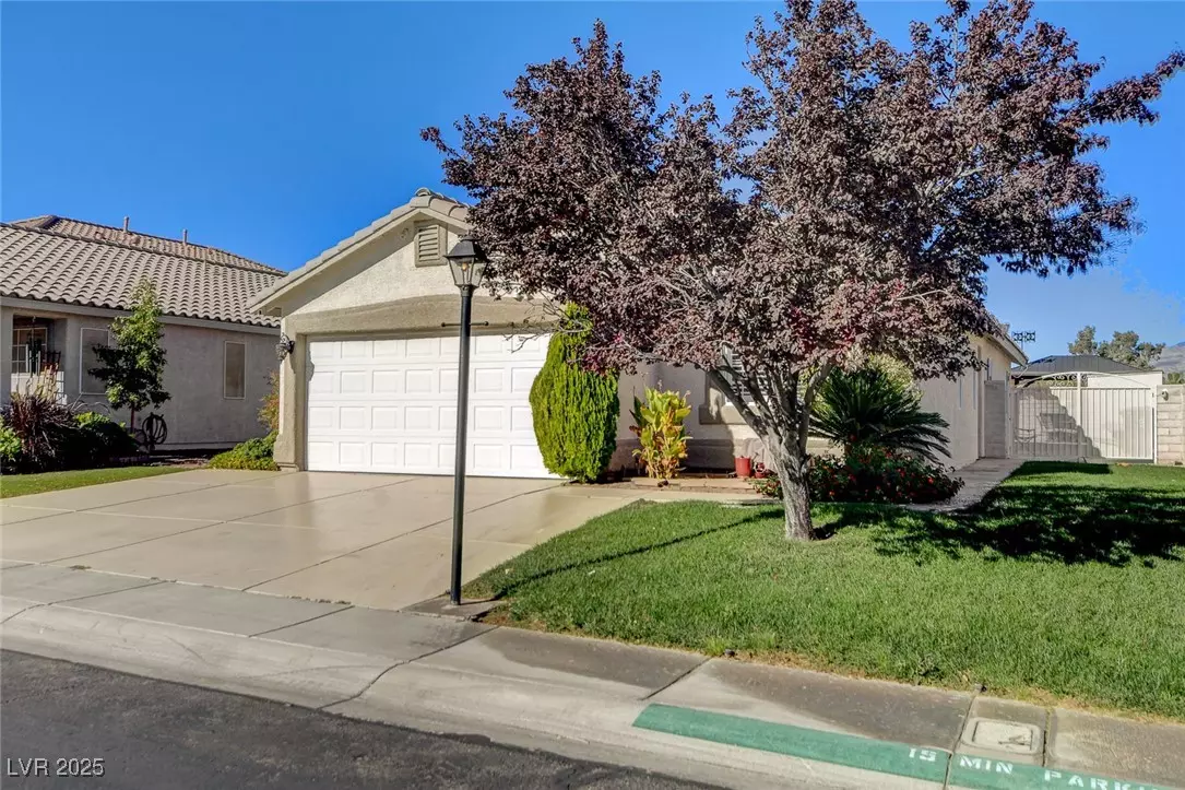 Las Vegas, NV 89143,9028 Medicine Wheel AVE