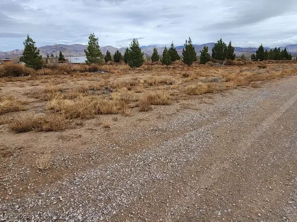 Sandy Valley, NV 89019,1718 Woods AVE