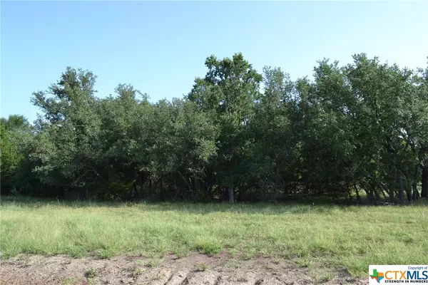 Block 6, Lot 5 Lampasas River Place Phase Two, Kempner, TX 76539