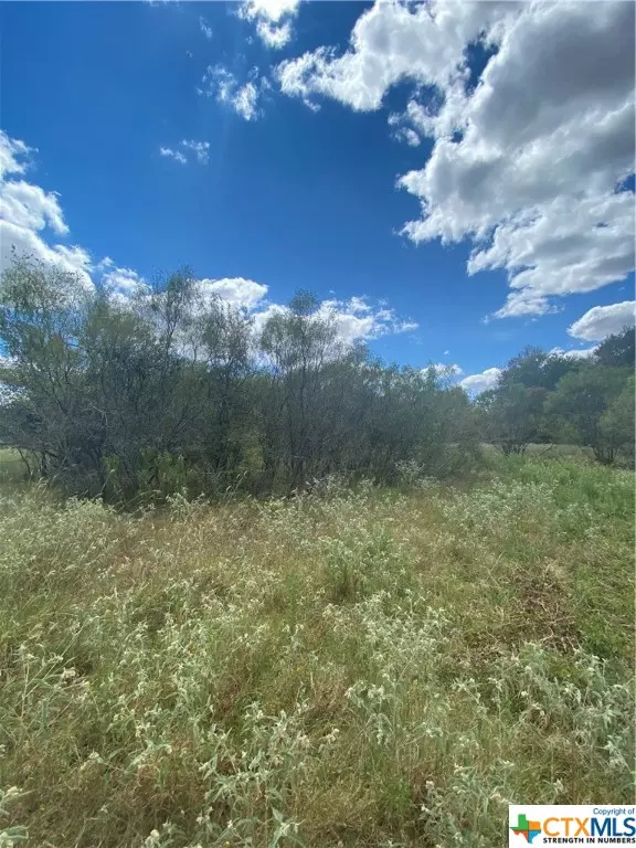 Lockhart, TX 78644,Lot 3 TBD Cattlemens ROW