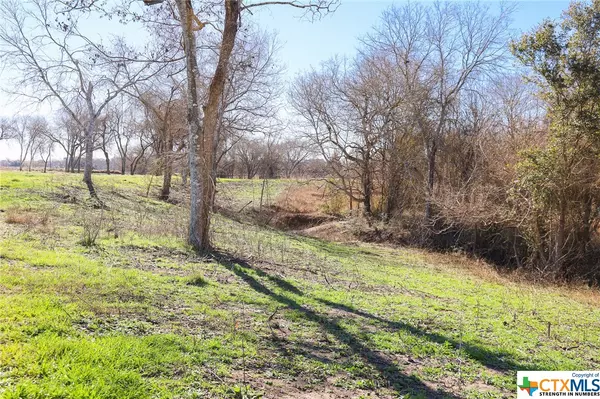 Shiner, TX 77984,511 CR 362 #Lot 4