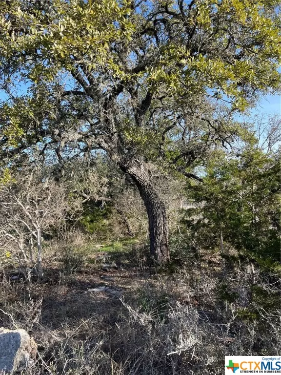 Spring Branch, TX 78070,3440 Tanglewood TRL