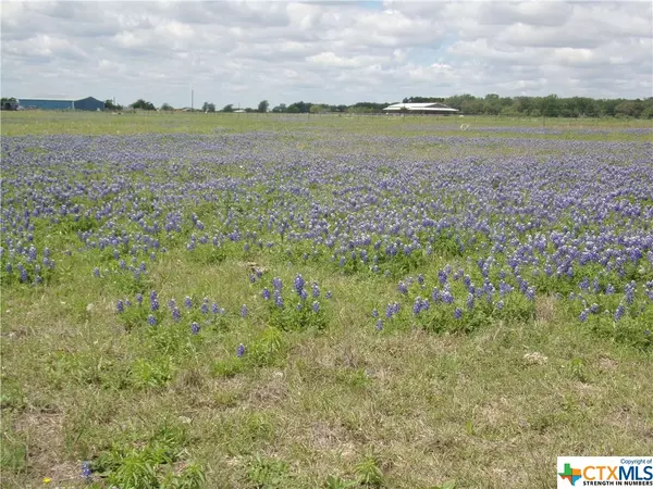 Florence, TX 76527,150 Cuttinghorse LN