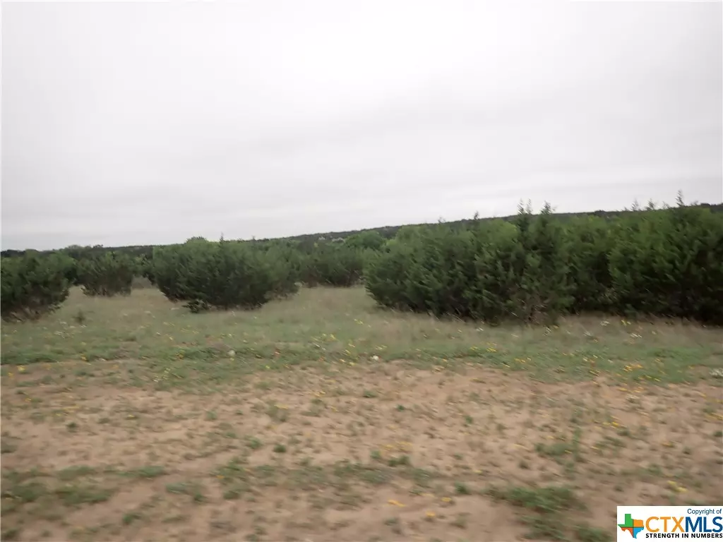 Lampasas, TX 76550,Lot 9 Dezina DR