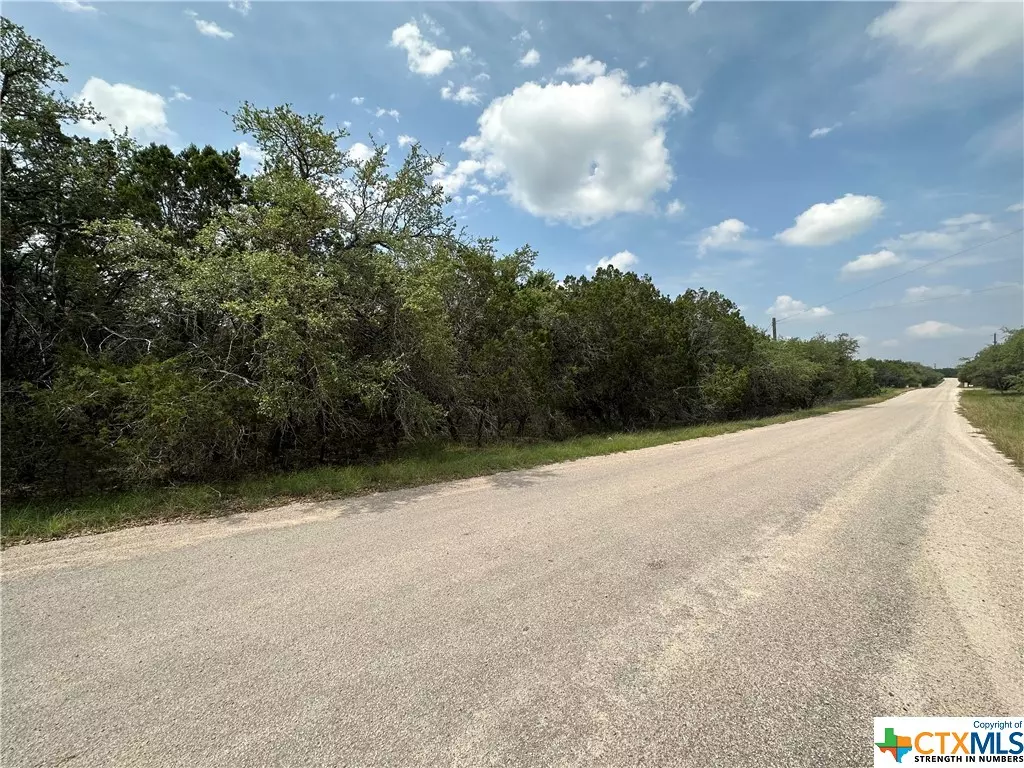 Burnet, TX 78611,00 N Oak Vista DR