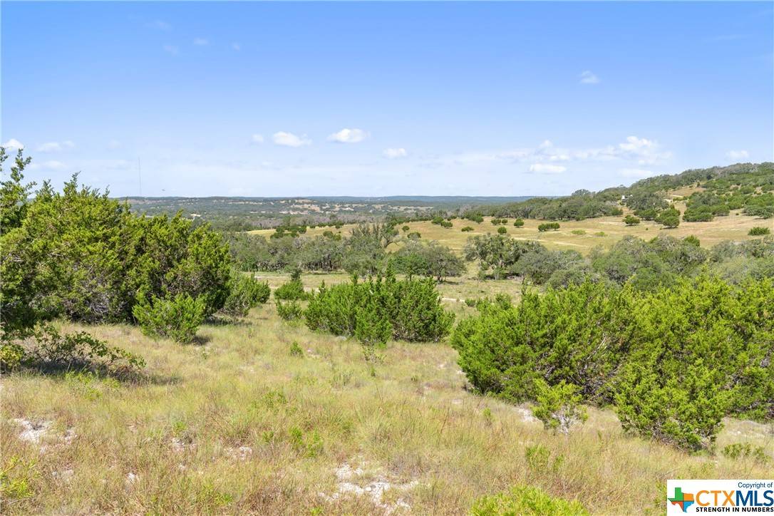 Blanco, TX 78671,Tract 12 LewDele LN