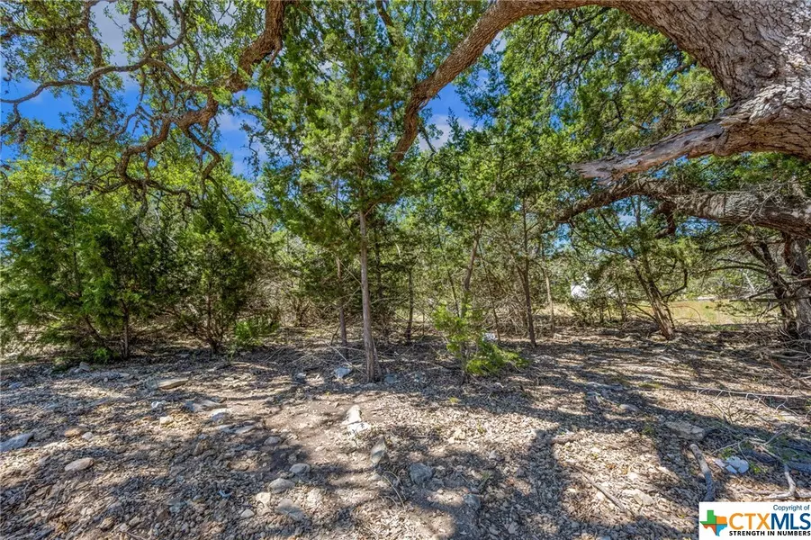 1967 Venezia, New Braunfels, TX 78132