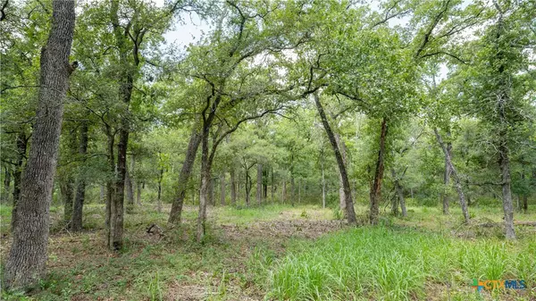 Buckholts, TX 76518,418-C County Road 405
