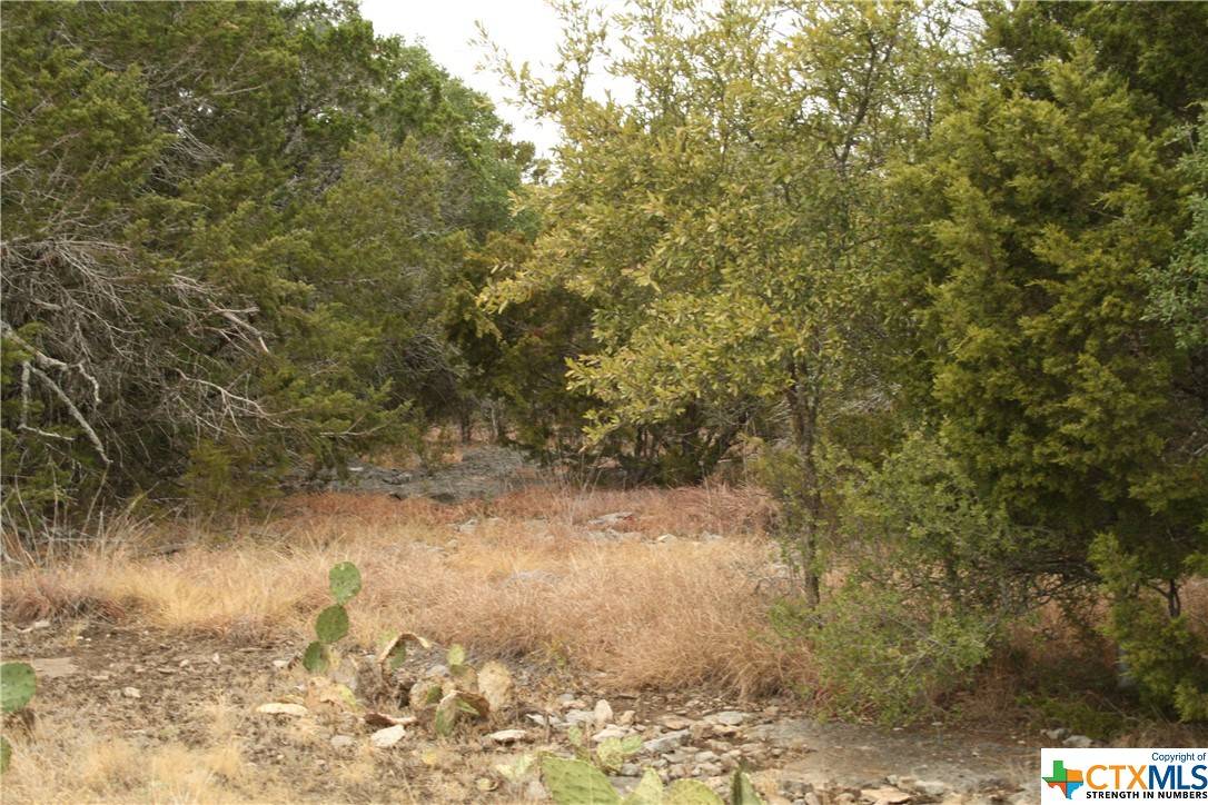 Spring Branch, TX 78070,1225 Mystic Shores BLVD