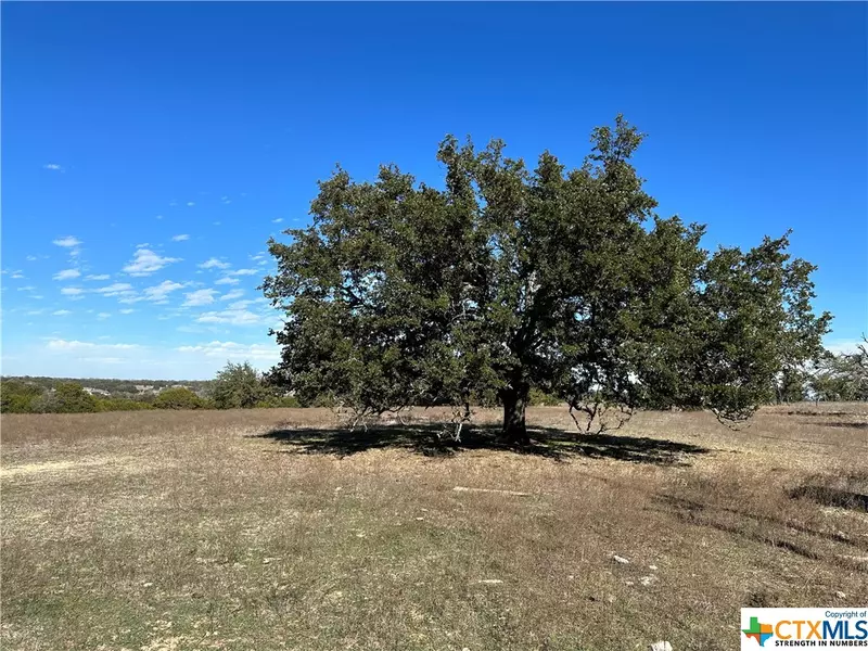 Tract 9B-1 Miller Creek Blf, Briggs, TX 78608