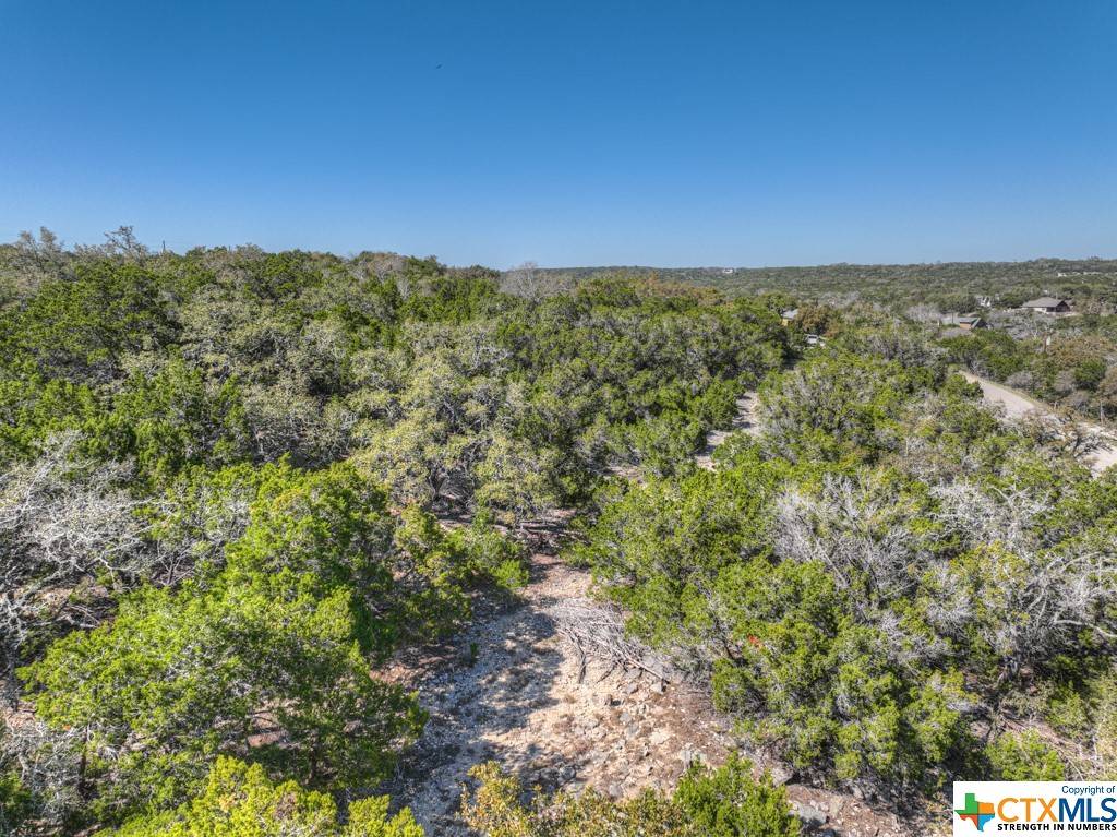 1490 Desiree ST, Canyon Lake, TX 78133