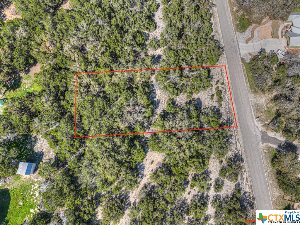 Canyon Lake, TX 78133,1490 Desiree ST