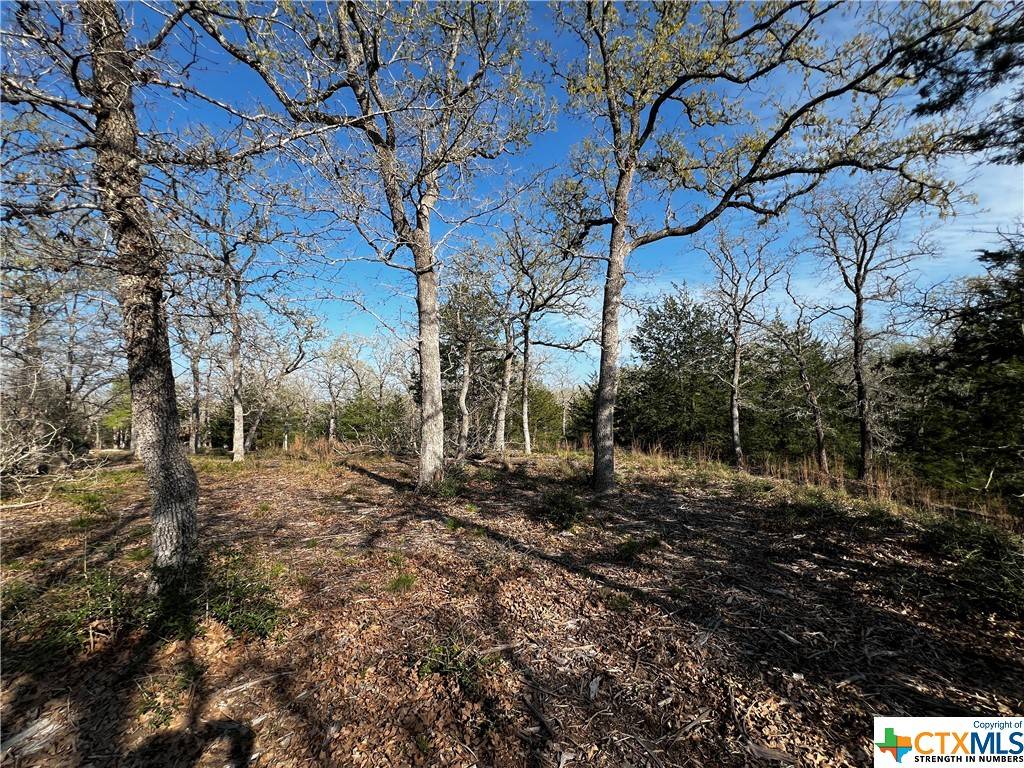 Lot 146 Deer Run TRL, Somerville, TX 77879