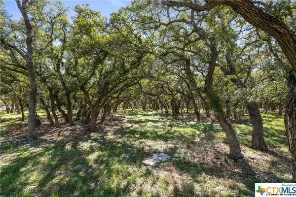 Lampasas, TX 76550,Lot 222 Blackbuck Ridge DR