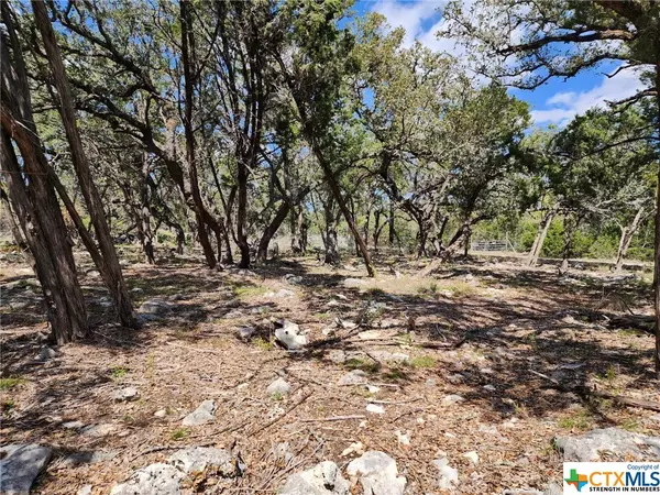 Spring Branch, TX 78070,Lot 19 Forest Lake DR