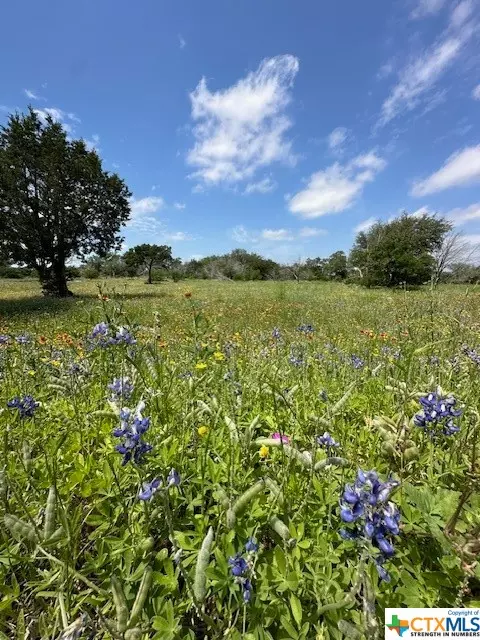 Horseshoe Bay, TX 78657,0 TBD Whitetail Rd