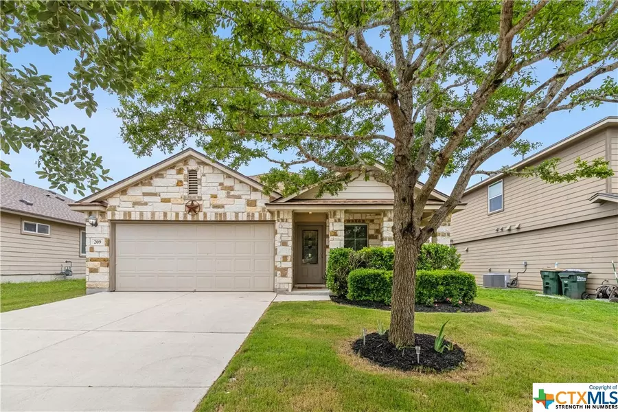 209 Goldenrod, San Marcos, TX 78666