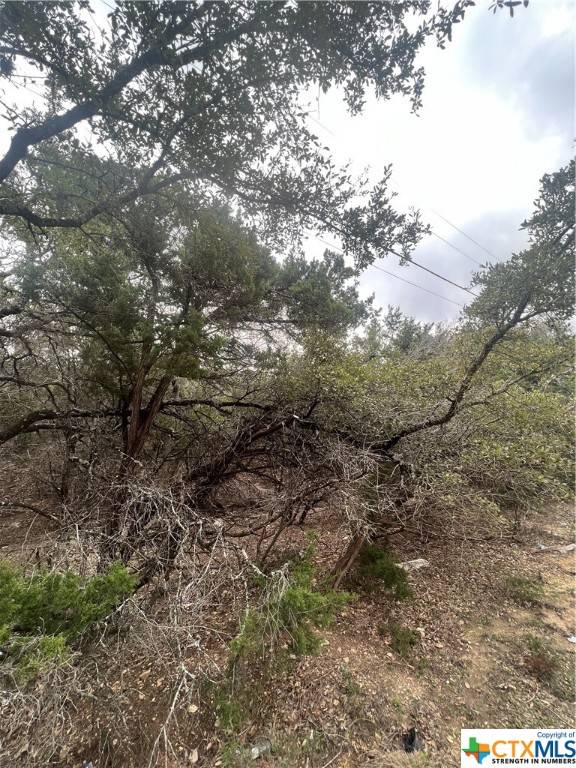 Canyon Lake, TX 78133,809 Scenic RUN