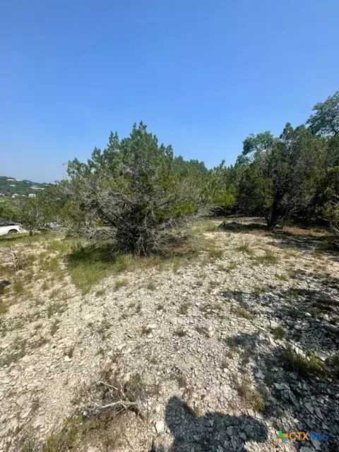 Canyon Lake, TX 78133,655 Teresa DR