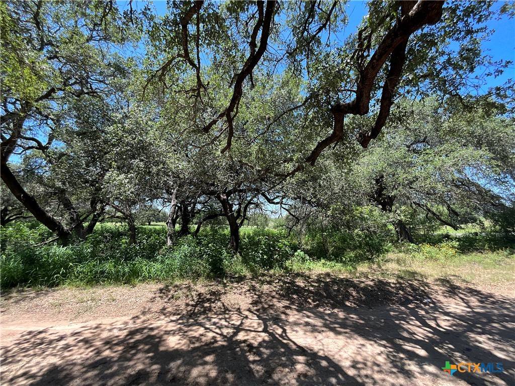 7 County Road 158, Floresville, TX 78114