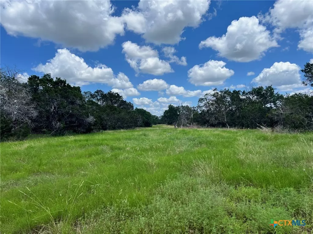 Bertram, TX 78605,Lot 12 Riparian Elm RD #12